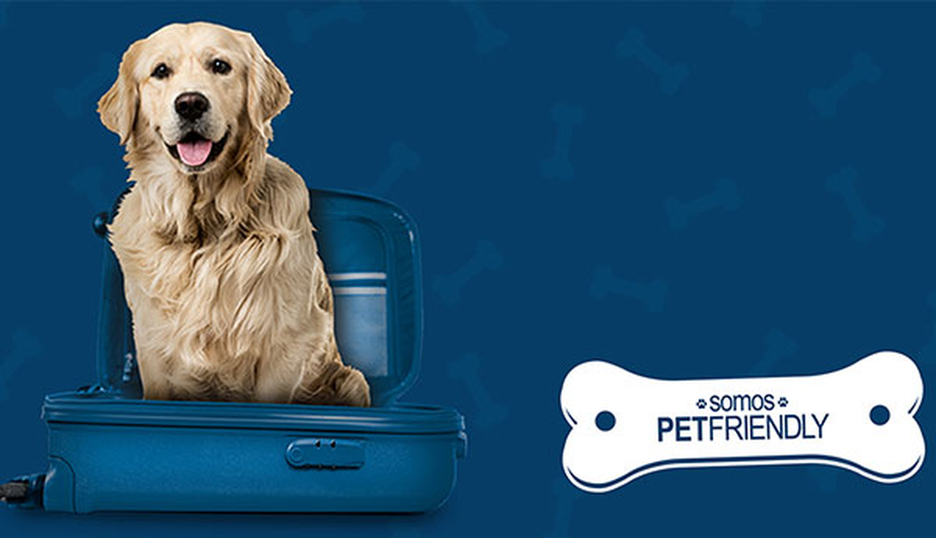 ¿quieres viajar con tu mascota? Hotel ILUNION Suites Madrid