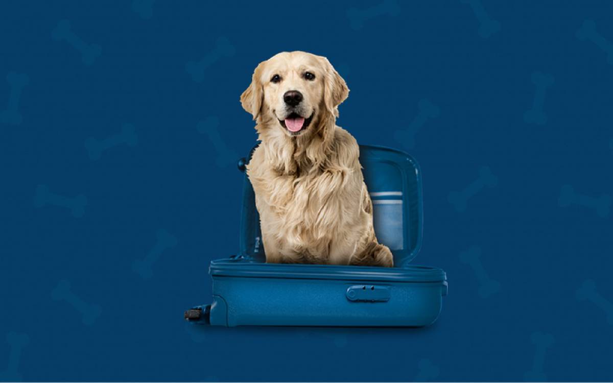 Somos pet friendly Hotel ILUNION Suites Madrid Somos pet friendly Hotel ILUNION Suites Madrid